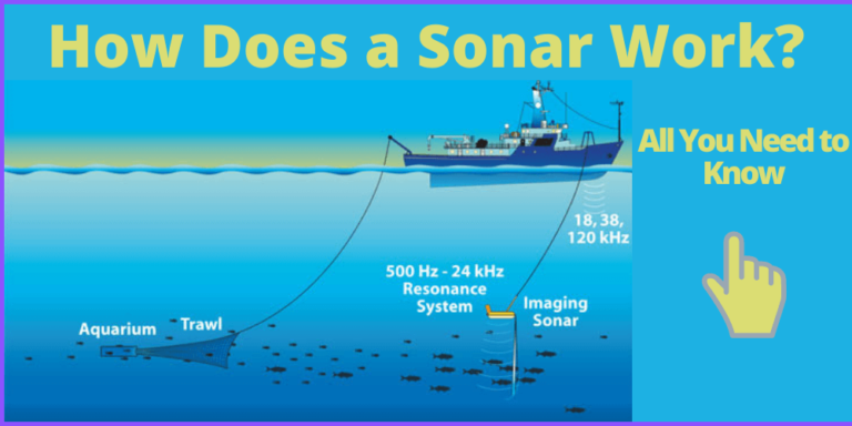 How Does Sonar Work And How It Helpful In Fishing?