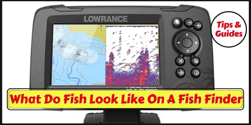 What Do Fish Look Like On A Fish Finder