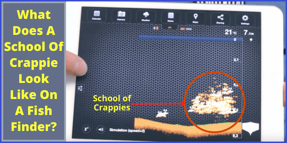 What Does A School Of Crappie Look Like On A Fish Finder