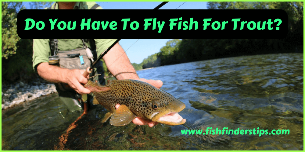 Do You Have To Fly Fish For Trout