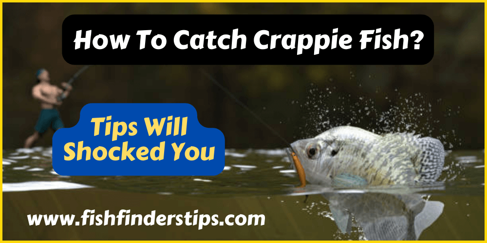 How To Catch Crappie Fish