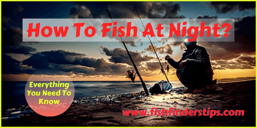 How To Fish At Night