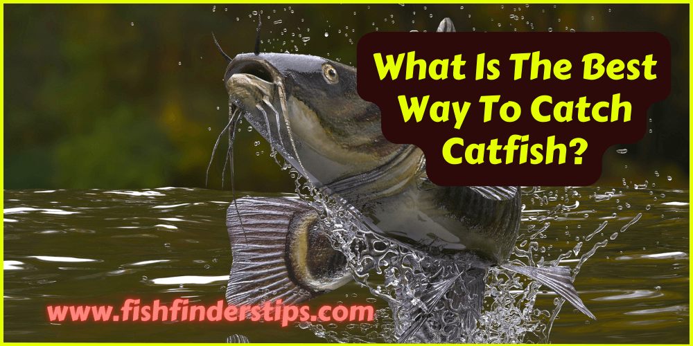What Is The Best Way To Catch Catfish