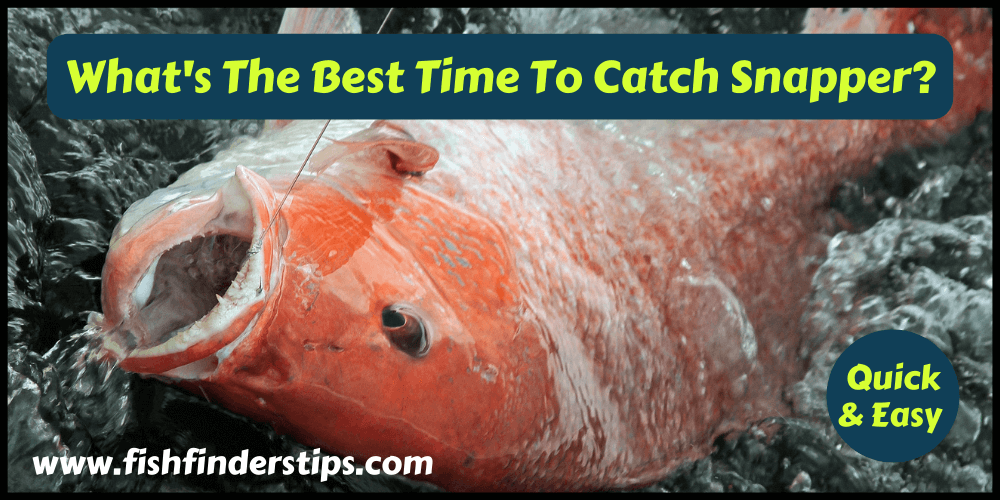 What's The Best Time To Catch Snapper