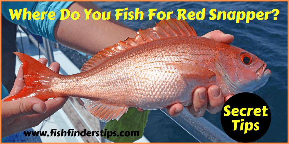 Where do you fish for red snapper
