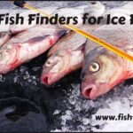 8 Best Fish Finders for Ice Fishing